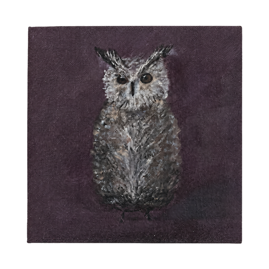DarkOwl