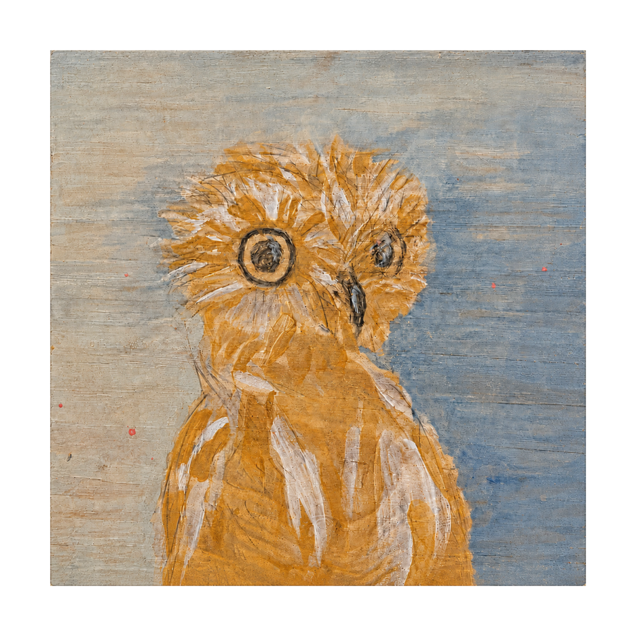 Owl in wood